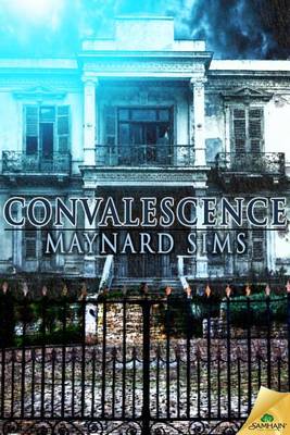 Book cover for Convalescence