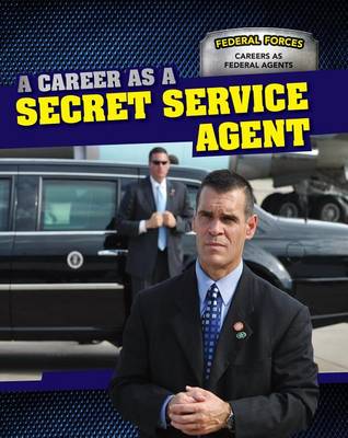Book cover for A Career as a Secret Service Agent