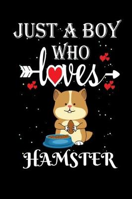 Book cover for Just a Boy Who Loves Hamster