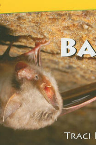 Cover of Bats