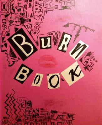 Book cover for Burn Book