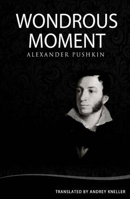 Book cover for Wondrous Moment