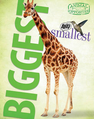Book cover for Biggest and Smallest