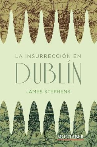 Cover of La insurrecci�n en Dubl�n