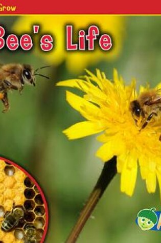 Cover of A Bee's Life