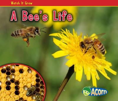 Book cover for A Bee's Life