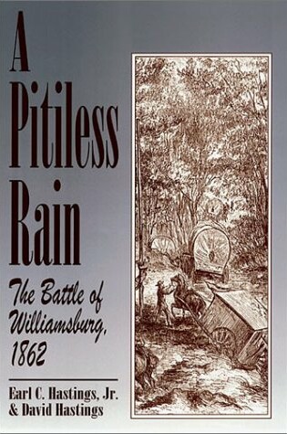 Cover of A Pitiless Rain