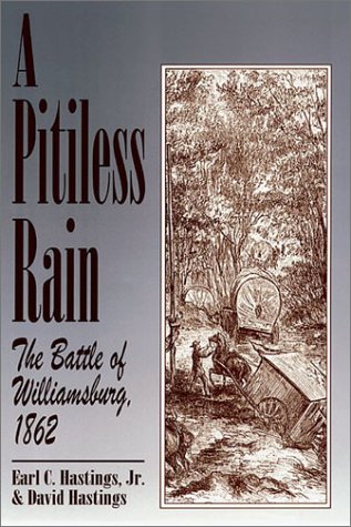 Book cover for A Pitiless Rain