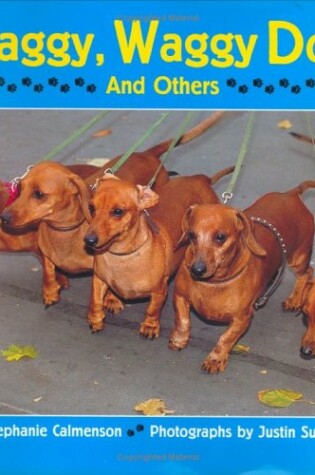 Cover of Shaggy, Waggy Dogs (and Others)