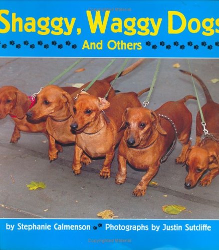 Book cover for Shaggy, Waggy Dogs (and Others)