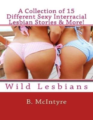 Book cover for A Collection of 15 Different Sexy Interracial Lesbian Stories & More!: Wild Lesbians
