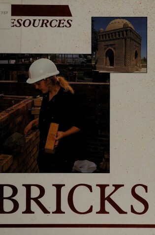 Cover of Bricks