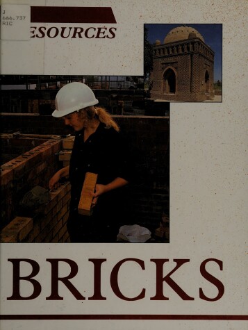 Book cover for Bricks