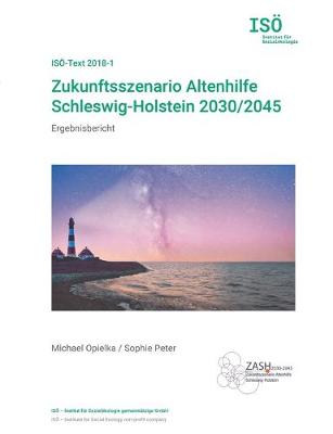 Book cover for Zukunftsszenario Altenhilfe Schleswig-Holstein 2030/2045