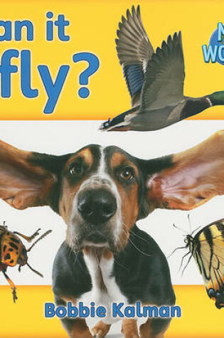 Cover of Can it fly?