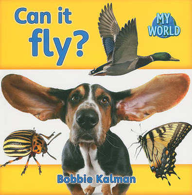 Cover of Can it fly?