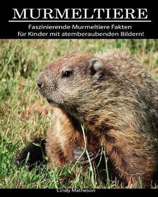 Book cover for Murmeltiere