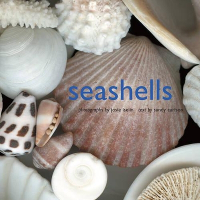 Book cover for Seashells