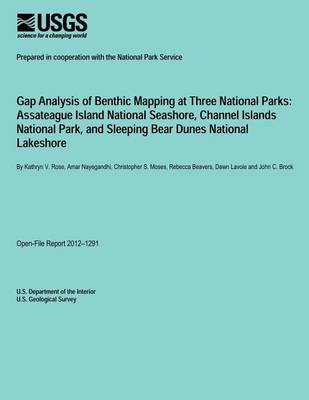 Book cover for Gap Analysis of Benthic Mapping at Three National Parks
