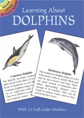 Book cover for Learning about Dolpins Stickers