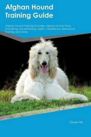 Cover of Afghan Hound Training Guide Afghan Hound Training Includes