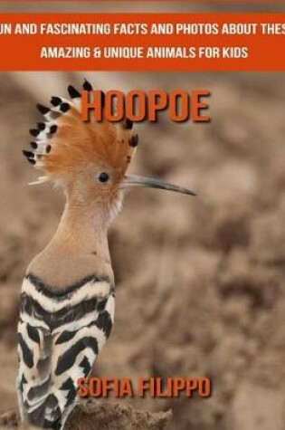 Cover of Hoopoe