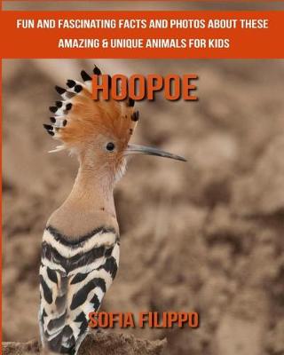 Book cover for Hoopoe