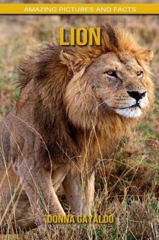 Cover of Lion