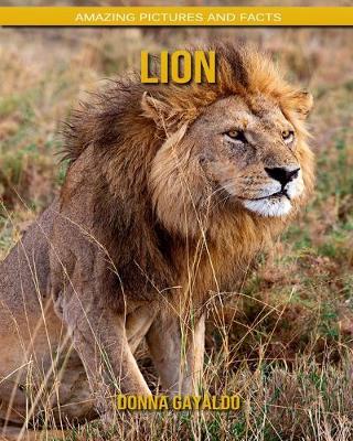 Book cover for Lion