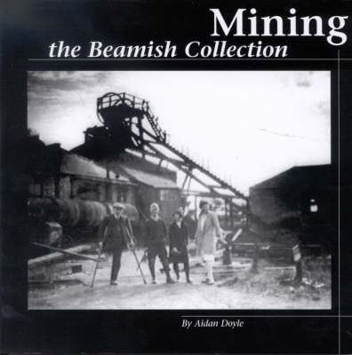 Book cover for Mining