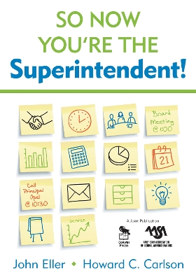 Book cover for So Now You're the Superintendent!