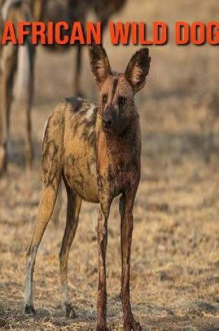 Cover of African Wild Dog