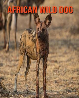 Book cover for African Wild Dog