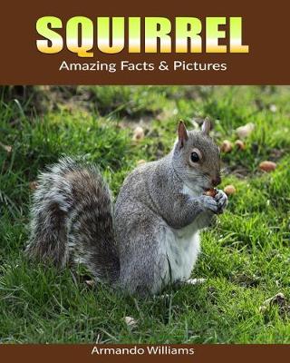 Book cover for Squirrel