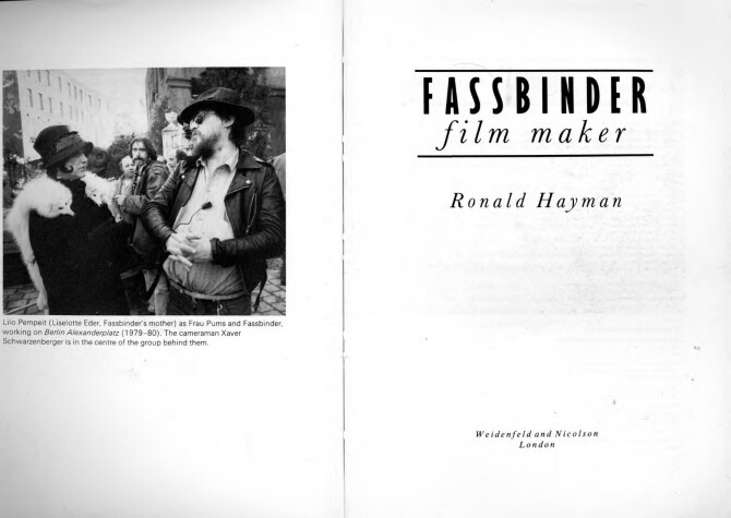 Book cover for Fassbinder