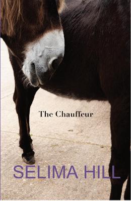 Book cover for The Chauffeur