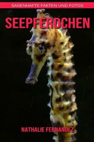 Cover of Seepferdchen