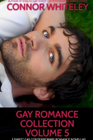 Cover of Gay Romance Collection Volume 5