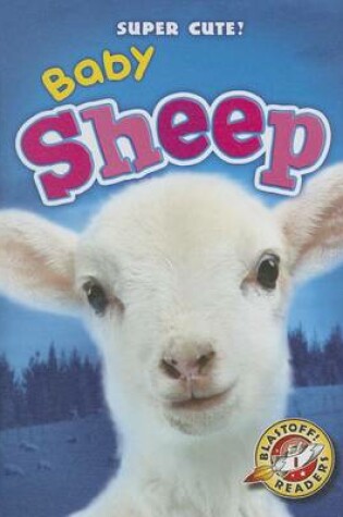 Cover of Baby Sheep