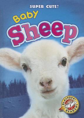 Cover of Baby Sheep