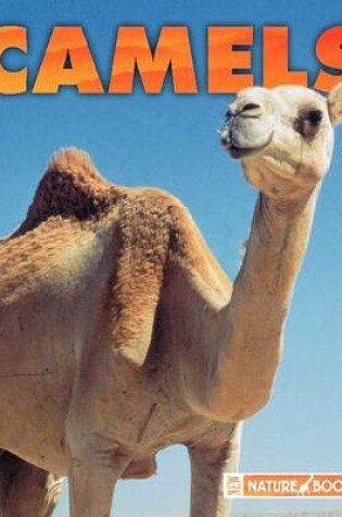 Cover of Camels