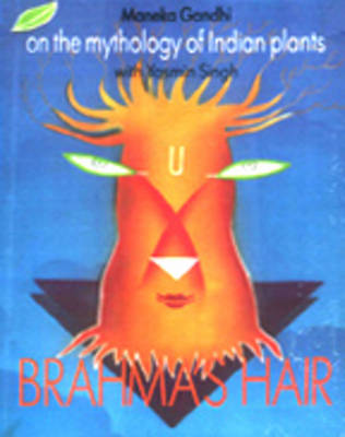 Book cover for Brahma's Hair