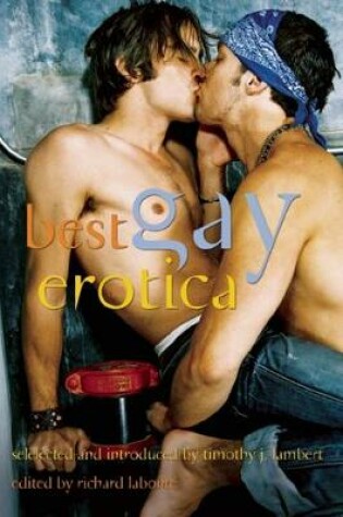 Cover of Best Gay Erotica 2007