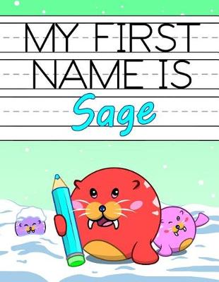 Book cover for My First Name Is Sage