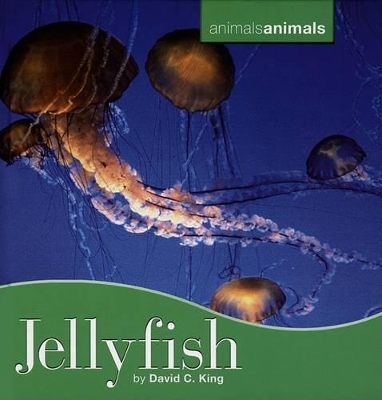 Book cover for Jellyfish