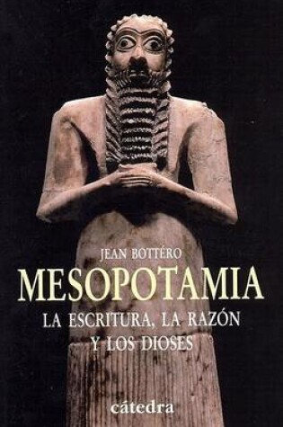 Cover of Mesopotamia