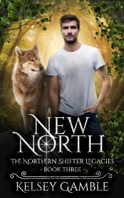 Book cover for New North