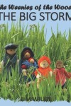 Book cover for The Big Storm