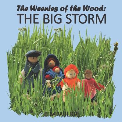 Cover of The Big Storm