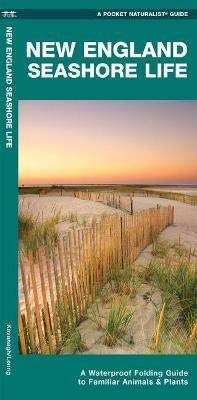 Book cover for New England Seashore Life